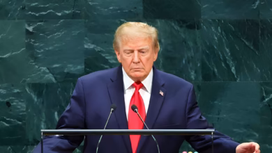 IMEC, Donald Trump, Saudi Arabia, India-UAE relations