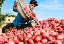 Hyderabad hike  onion prices, onion supply shortage
