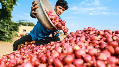 Hyderabad hike onion prices, onion supply shortage