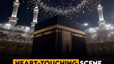 Kaaba viral video, birds around Kaaba, Ababeel birds