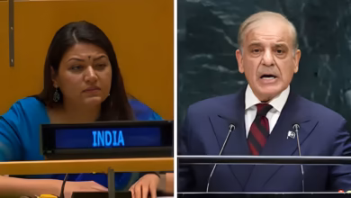 Shehbaz Sharif UN speech, India Pakistan, Petal Gahlot