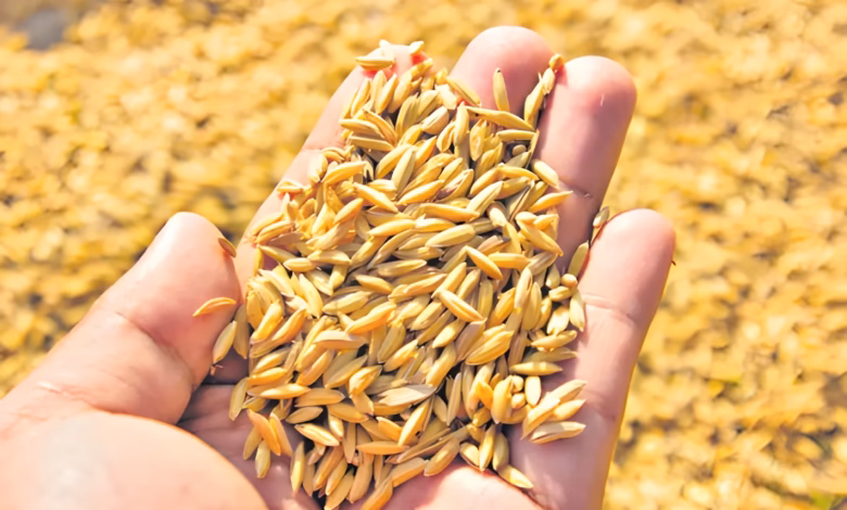 Telangana paddy seeds ban, Paddy seed sales restrictions