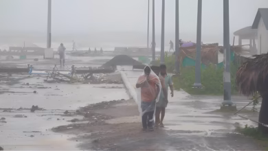 Cyclone Arnab Andhra Pradesh, Odisha cyclone evacuation