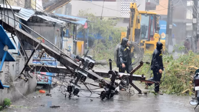 Cyclone Arnab Andhra Pradesh, Cyclone power outages