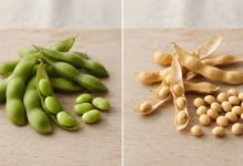 Edamame Benefits, Soybean Health Benefits, High Protein Foods