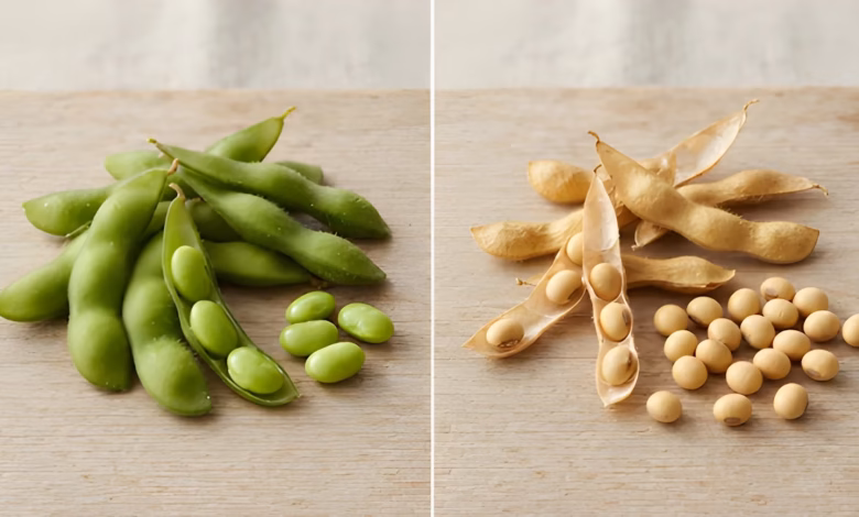 Edamame Benefits, Soybean Health Benefits, High Protein Foods