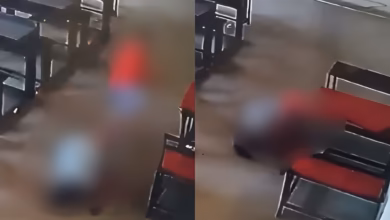 Panchkula School Incident, Six-Year-Old Girl Injured
