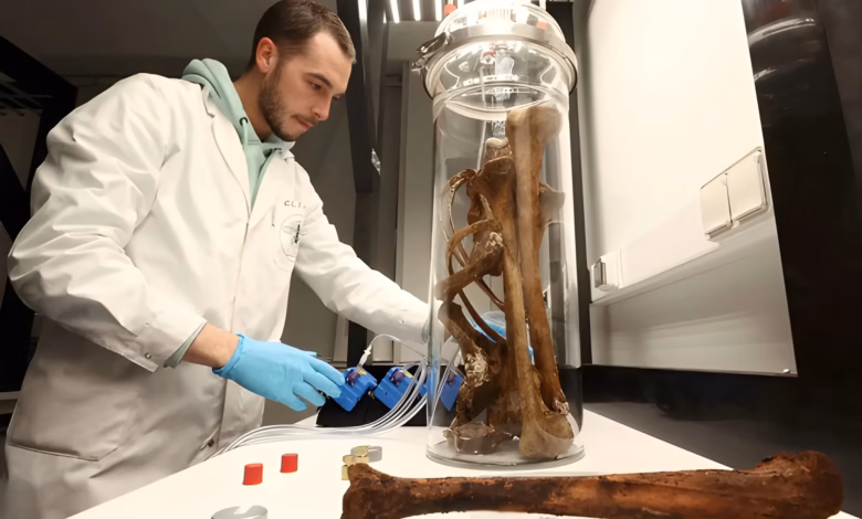 Ageing muscle weakness, University of Copenhagen research