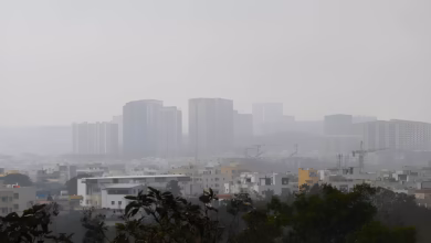 Cyclone Arnab Telangana, Mulugu rainfall alert