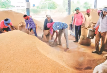 Telangana Paddy Procurement, Telangana Fine Rice Prices
