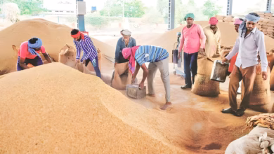 Telangana Paddy Procurement, Telangana Fine Rice Prices