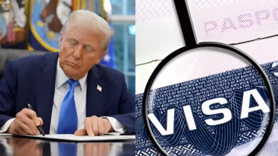 H-1B Visa News, US Green Card Suspension, Indian IT Workers in USA