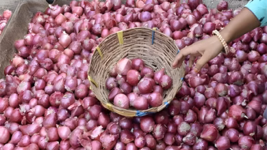 Onion price hike Rs.75-80, Telangana onion prices